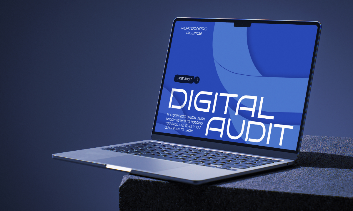 Audit numérique